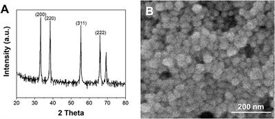 Detection of Imatinib Based on Electrochemical Sensor Constructed Using Biosynthesized Graphene-Silver Nanocomposite